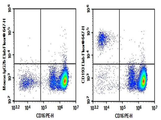 Human peripheral blood granulocytes were stained with 0.2 μg Purified Anti-Human CD193 Antibody[5E8] (Right) and 0.2 μg Mouse IgG2b, κ Isotype Control (Left), followed by Elab Fluor<sup>®</sup> 647-conjugated Goat Anti-Mouse IgG Secondary Antibody, then anti-Human CD16 PE-conjugated Monoclonal Antibody.