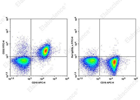 Anti-Mouse CD32 Antibody [S17012B] - ABMIUM