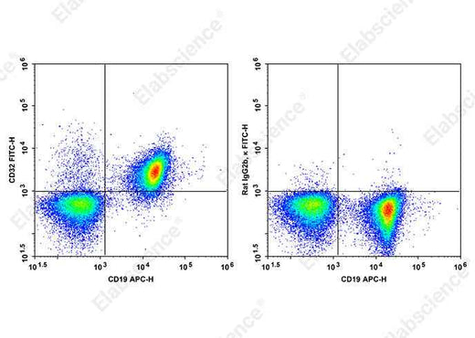 Anti-Mouse CD32 Antibody [S17012B] - ABMIUM