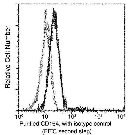 Anti-Human CD164 Antibody [A974] - ABMIUM