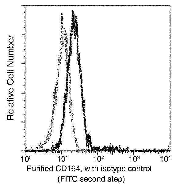 Anti-Human CD164 Antibody [A974] - ABMIUM