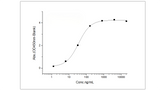 Measured by its binding ability in a functional ELISA. Immobilized human IL12RB1 at 20 μg/ml (100 μl/well) can bind human IL12B with a linear range of 2.56-64 ng/ml.