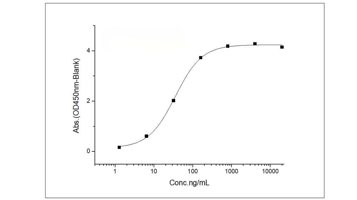 Measured by its binding ability in a functional ELISA. Immobilized human IL12RB1 at 20 μg/ml (100 μl/well) can bind human IL12B with a linear range of 2.56-64 ng/ml.