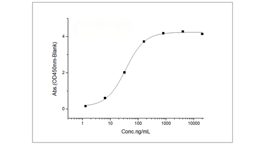 Measured by its binding ability in a functional ELISA. Immobilized human IL12RB1 at 20 μg/ml (100 μl/well) can bind human IL12B with a linear range of 2.56-64 ng/ml.