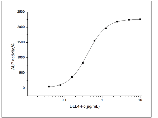 Measured by the ability of the immobilized protein to enhance BMP2-induced alkaline phosphatase activity in C3H10T1/2 mouse embryonic fibroblast cells. The ED<sub>50</sub> for this effect is typically 0.2-2μg/mL in the presence of 500 ng/mL recombinant human BMP2.