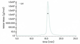 The purity of Recombinant Human Transferrin Receptor / TFRC / CD71 Protein, ECD, His Tag, HPLC-verified (Cat: PKSH031302) was more than 90% and the molecular weight of this protein is around 160.3 kDa verified by SEC-MALS .