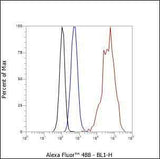 Anti-Human/Rat/Mouse Keratin 15 Antibody [A273]