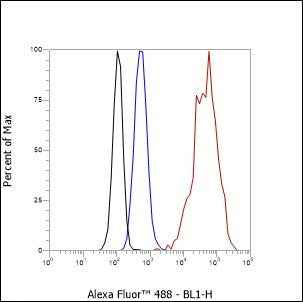 Anti-Human/Rat/Mouse Keratin 15 Antibody [A273]