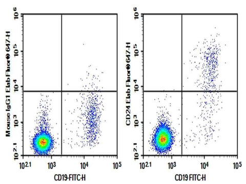 Anti-Human CD24 Antibody [SN3] - ABMIUM