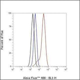 Anti-Human ASGR1 Antibody [A134]