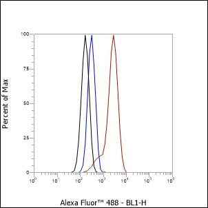 Anti-Human ASGR1 Antibody [A134] - ABMIUM