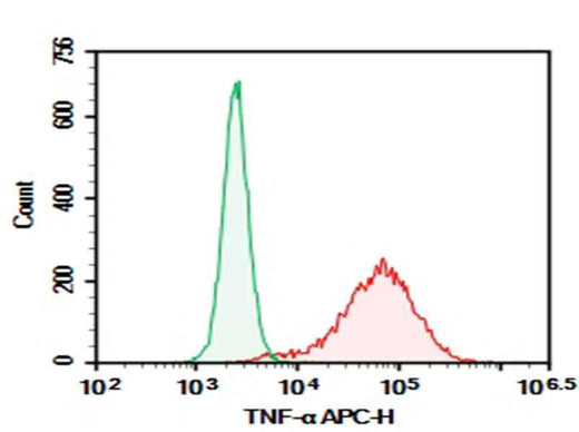 Anti-Human TNF-α Antibody [MAb11] - ABMIUM