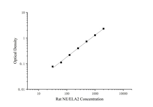 Uncoated Rat NE/ELA2(Neutrophil Elastase/Elastase-2) ELISA Kit - ABMIUM