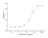 Measured by its ability to neutralize Activin-mediated inhibition on MPC11 cell proliferation.The ED<sub>50</sub> for this effect is typically 20-60 ng/mL in the presence of 10 ng/mL recombinant Activin A.