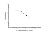 Uncoated Rat BNP(Brain Natriuretic Peptide) ELISA Kit - ABMIUM