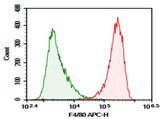 Anti-Mouse F4/80 Antibody [BM8] - ABMIUM