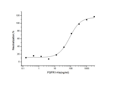 Measured by its ability to inhibit FGF-acidic dependent proliferation of Balb/c 3T3 mouse fibroblasts. The ED<sub>50</sub> for this effect is typically 40-300 ng/mL.
