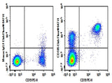Human peripheral blood lymphocytes were stained with 0.2 μg Purified Anti-Human CD185 Antibody[J252D4] (Right) and 0.2 μg Mouse IgG1, κ Isotype Control (Left), followed by Elab Fluor<sup>®</sup> 647-conjugated Goat Anti-Mouse IgG Secondary Antibody, then anti-Human CD3 FITC-conjugated Monoclonal Antibody.
