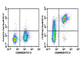 C57/BL6 Mouse splenocytes were stained with 0.2 μg AF/LE Anti-Mouse CD38 Antibody[NIMR5] (Right) and 0.2 μg Rat IgG2a,  κ Isotype Control (Left),  followed by Elab Fluor<sup>®</sup> 647-conjugated Goat Anti-Rat IgG Secondary Antibody,  then anti-Mouse B220 FITC-conjugated Monoclonal Antibody.