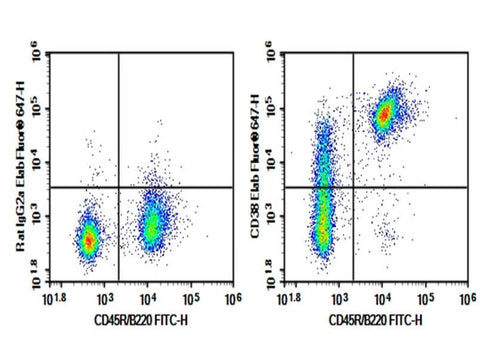 C57/BL6 Mouse splenocytes were stained with 0.2 μg AF/LE Anti-Mouse CD38 Antibody[NIMR5] (Right) and 0.2 μg Rat IgG2a,  κ Isotype Control (Left),  followed by Elab Fluor<sup>®</sup> 647-conjugated Goat Anti-Rat IgG Secondary Antibody,  then anti-Mouse B220 FITC-conjugated Monoclonal Antibody.