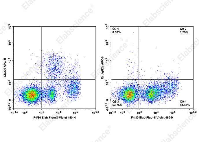 Anti-Mouse CD206 Antibody [Y17-505] - ABMIUM