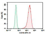 Human peripheral blood Granulocytes were stained with 0.2 μg Purified Anti-Human CD10 Antibody[CB-CALLA] (Right) and 0.2 μg Mouse IgG1, κ Isotype Control(Left), followed by APC-conjugated Goat Anti-Mouse IgG Secondary Antibody.