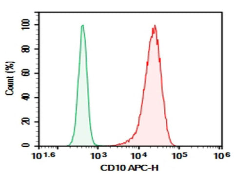 Human peripheral blood Granulocytes were stained with 0.2 μg Purified Anti-Human CD10 Antibody[CB-CALLA] (Right) and 0.2 μg Mouse IgG1, κ Isotype Control(Left), followed by APC-conjugated Goat Anti-Mouse IgG Secondary Antibody.