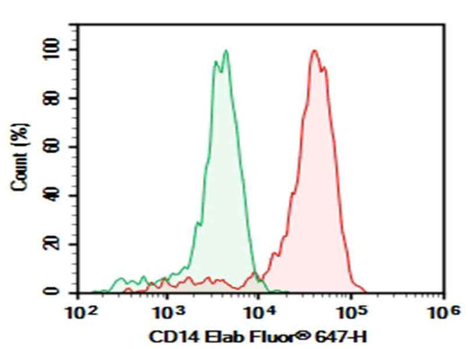 Anti-Human CD14 Antibody [UCHM-1] - ABMIUM