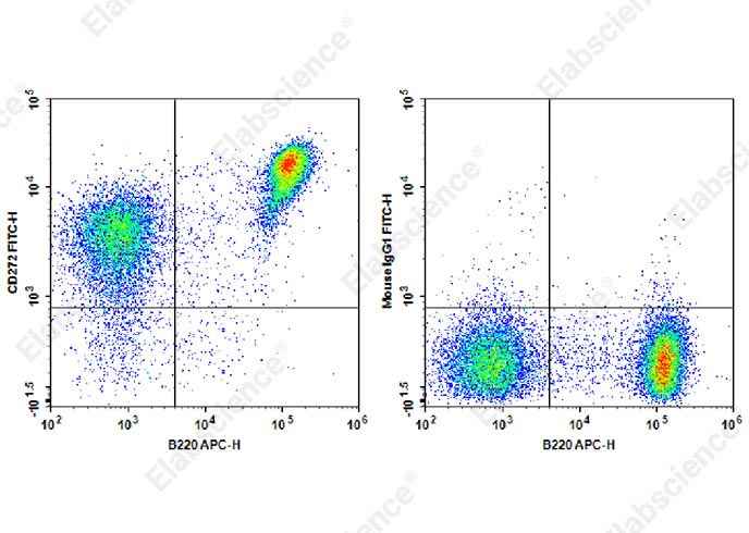 Anti-Mouse CD272 Antibody [6F7] - ABMIUM