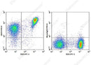 Anti-Mouse CD272 Antibody [6F7] - ABMIUM