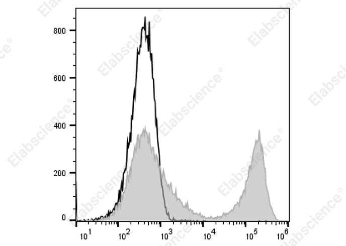 Anti-Mouse Ig light chain κ Antibody [RMK-45] - ABMIUM