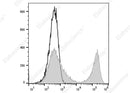 Anti-Mouse Ig light chain κ Antibody [RMK-45] - ABMIUM