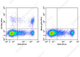 Staining of normal human peripheral blood cells with APC Anti-Human CD16 Antibody and PE Anti-Human CD158b/j Antibody[DX27] (left) or PE Mouse IgG2a, κ Isotype Control (right). Cells in the lymphocytes gate were used for analysis.