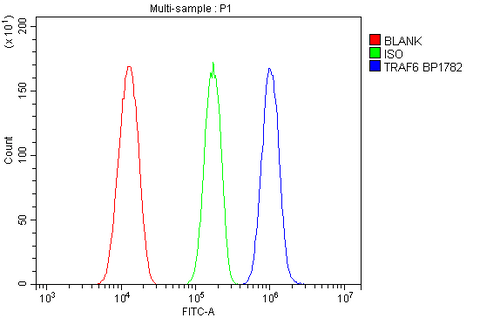 Anti-TRAF6 Antibody Picoband® Boster Bio
