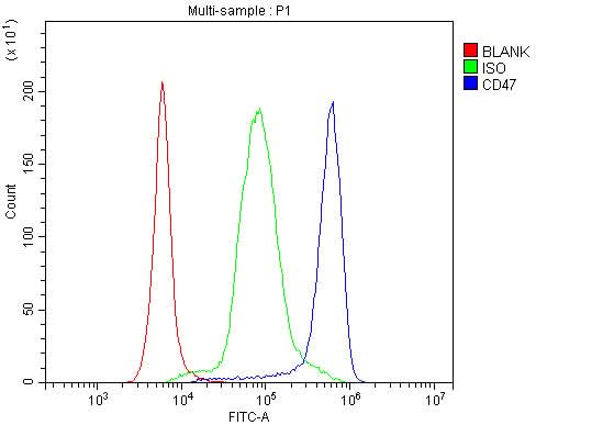 Anti-CD47 Antibody Picoband® Boster Bio
