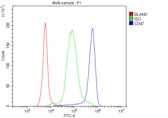 Anti-CD47 Antibody Picoband® Boster Bio