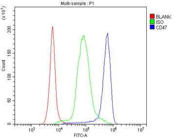 Anti-CD47 Antibody Picoband® Boster Bio