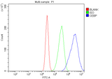 Anti-CEBP Alpha/CEBPA Antibody Picoband® Boster Bio