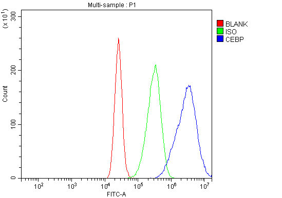 Anti-CEBP Alpha/CEBPA Antibody Picoband® Boster Bio