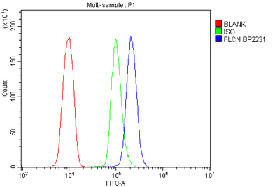 Anti-FLCN Picoband® Antibody Boster Bio