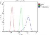 Anti-PPM1D/WIP1 Picoband® Antibody Boster Bio