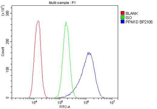 Anti-PPM1D/WIP1 Picoband® Antibody Boster Bio