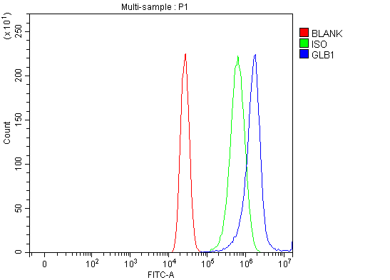 Anti-GLB1/Beta-galactosidase Antibody Picoband® Boster Bio