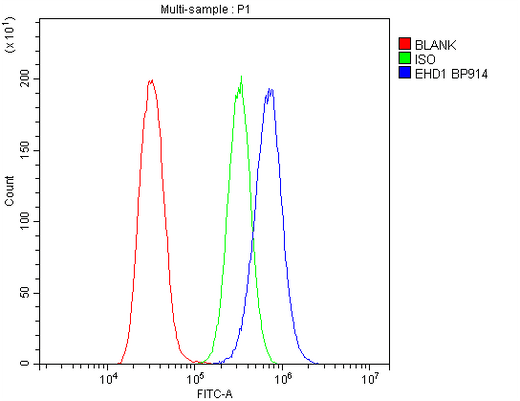 Anti-EHD1 Antibody Picoband® Boster Bio