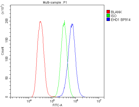 Anti-EHD1 Antibody Picoband® Boster Bio