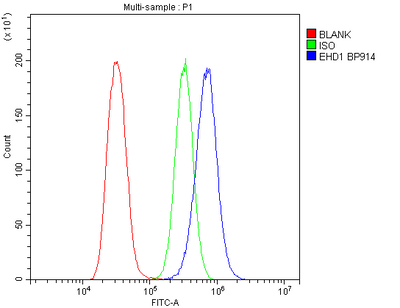 Anti-EHD1 Antibody Picoband® Boster Bio