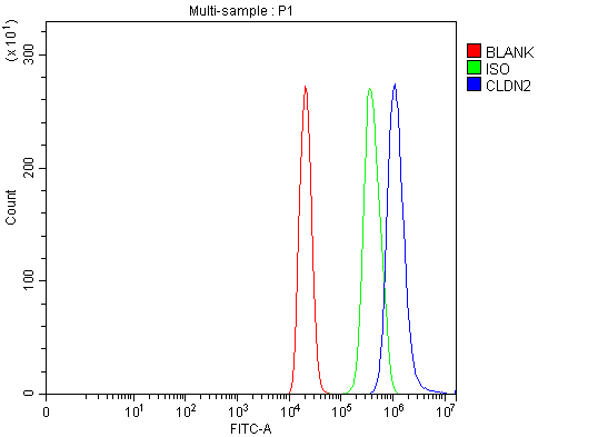 Anti-Claudin 2/CLDN2 Antibody Picoband® Boster Bio
