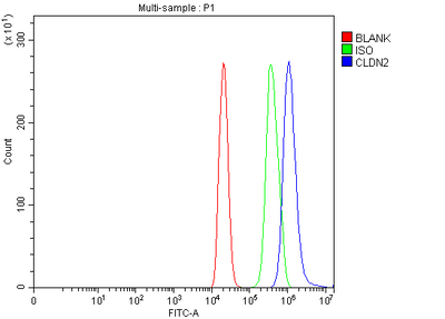 Anti-Claudin 2/CLDN2 Antibody Picoband® Boster Bio