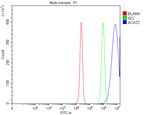 Anti-ACAT2 Antibody Picoband® Boster Bio