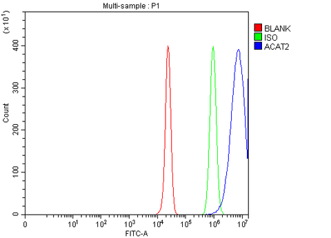Anti-ACAT2 Antibody Picoband® Boster Bio